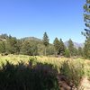 Thomas Hunting Grounds (1N12), San Bernardino Mountains