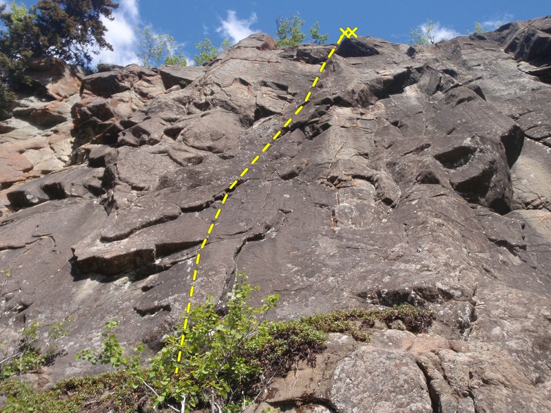 Murder climbs up the center of the photo