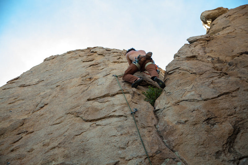 Past the friendly bush and committing crux.