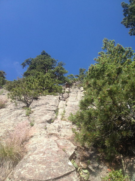 For anyone who might be confused about the start: this is the standard start. You can see the short, vertical step at the top of the photo. The climb can also be started higher up along the sides if you want to avoid the dirty 4th class start.
