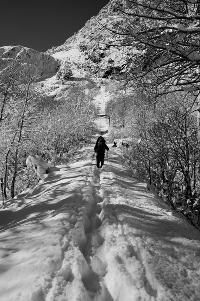 Anthony Vito Fiore - Winter Wonderland - Mountaineering.