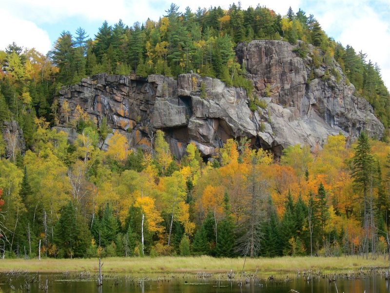 Beautiful Mont King!