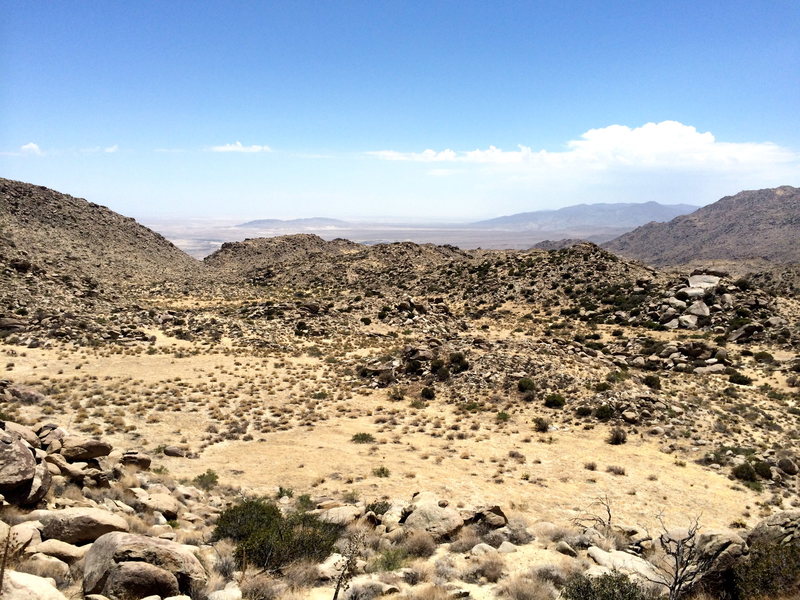 View