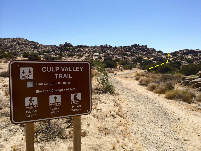 Culp Valley Trail that leads out to East Ridge