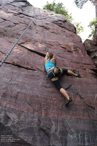 why not heel hook?
