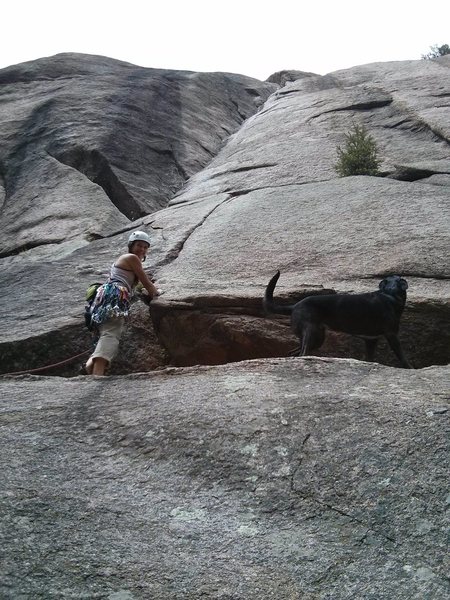 Naomi and her dog, L'Hopitol, ready to send the classic dihedral.