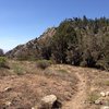 PCT and the Coon Creek Jumpoff, San Bernardino Mountains