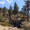 Coon Creek Cabin (1N02), San Bernardino Mountains