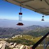 The view from the fire lookout (1N96), Keller Peak
