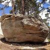 The Ant Boulder near Bluff Mesa CG, Big Bear South
