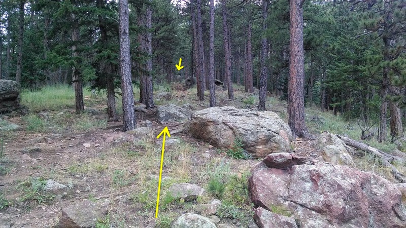 This is the offshoot from the Mesa Trail. Trail looks more like runoff than a trail at first.