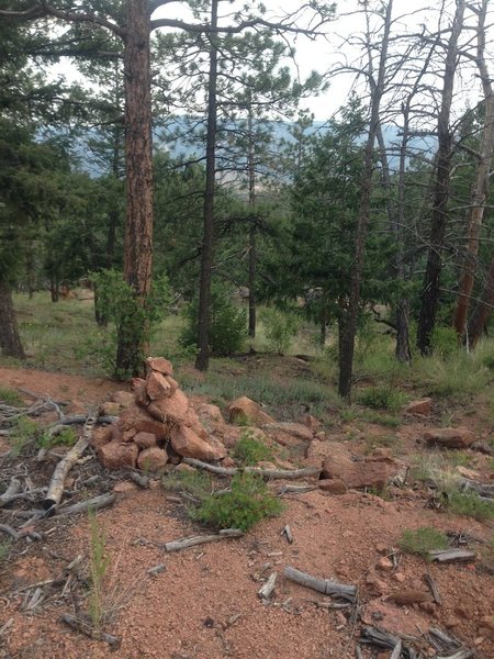 Cairn pile past the white plywood sign, perhaps 100m. Consider turning right here to head for Top of the World.