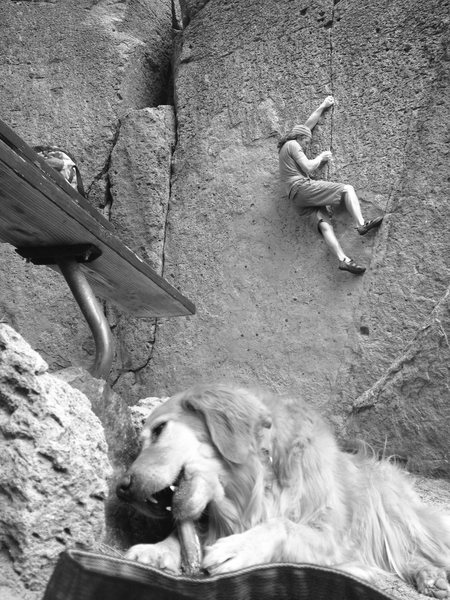 Cruising JBs Seam while the pups enjoy a bone.