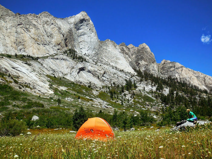 Beautiful meadow for a basecamp