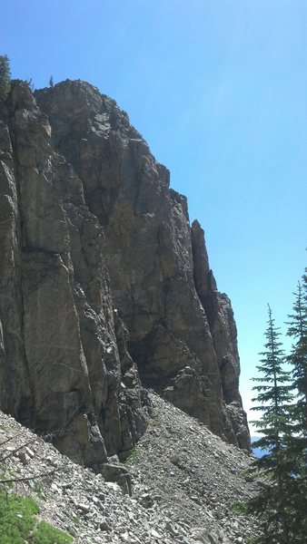 Took the tram to the top and hiked Summit Trail ~1.3Miles to Rock Springs Loop and then traversed across a scree field. Caution: Very steep grade on Rock Springs Loop. Another option is to hike up from Teton Village ~7Miles