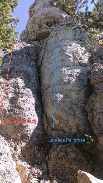 La Vaca Peligrosa