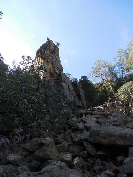 Paired Pole Pillars from the La Luz trail