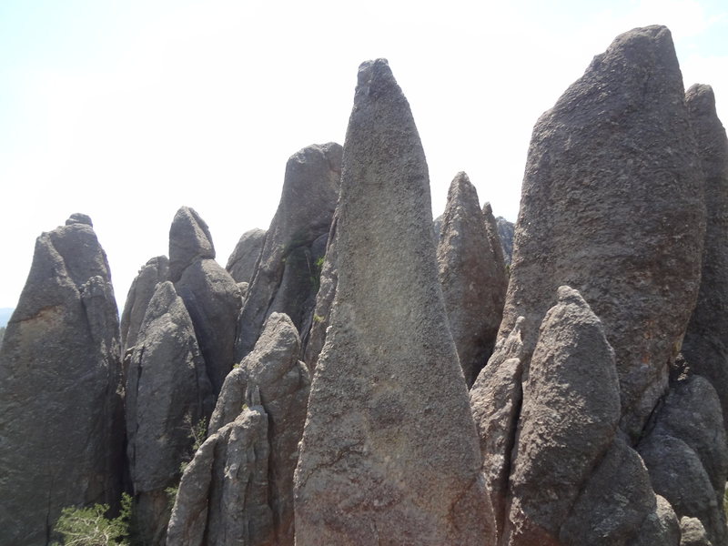 Black Hills SD. JULY 2014. TRICONI NAIL AND TENT PEG ETC.WITH MIKE W.