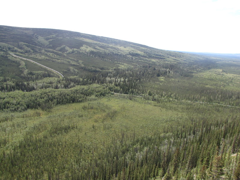 View of the pipeline from ravendale