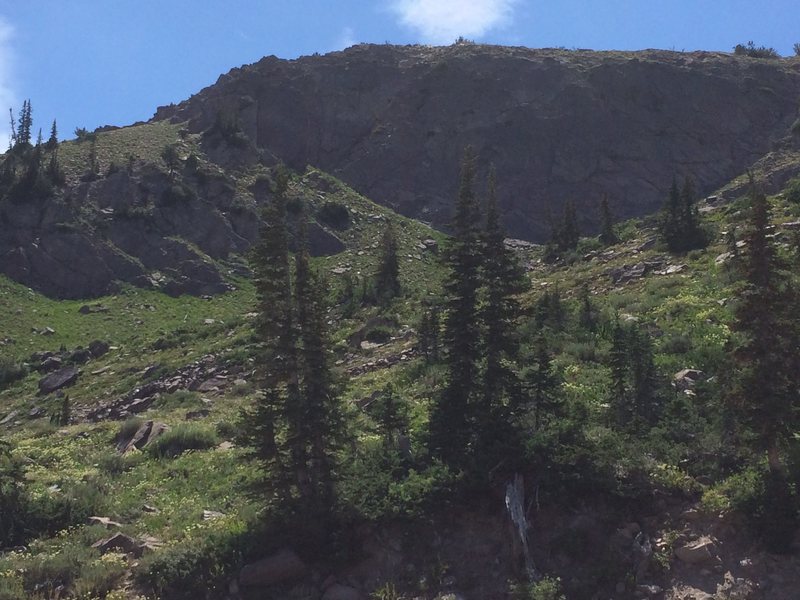 The far left pine tree in the foreground is pointing to the beginning of the route.<br>
Photo taken from the Needles Lodge.