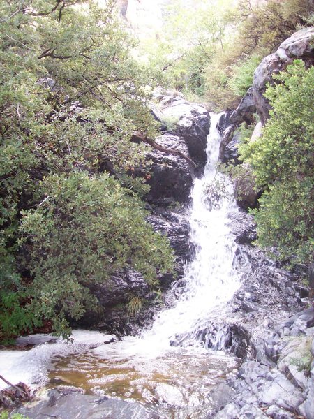 Squaretop Gully in flood. Yes, it does rain in the Organs. Photo Jim Moore