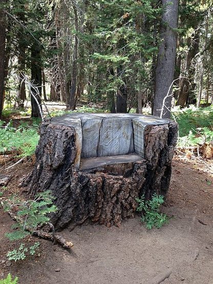 Log chair along the Siberia Creek Trail, Big Bear South