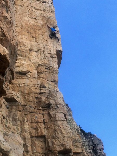 Andy on lead