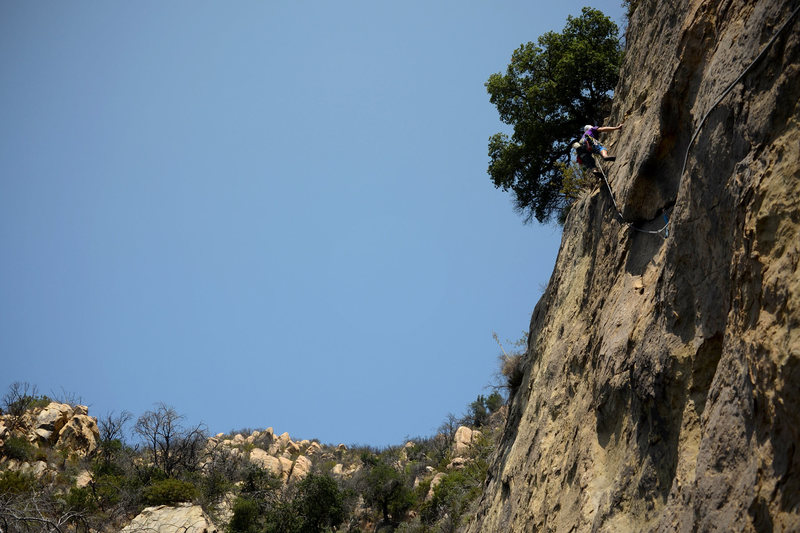 Patrick Callery plugs in gear on King Snake Crack in Rattlesnake Canyon, during the route's first ascent.