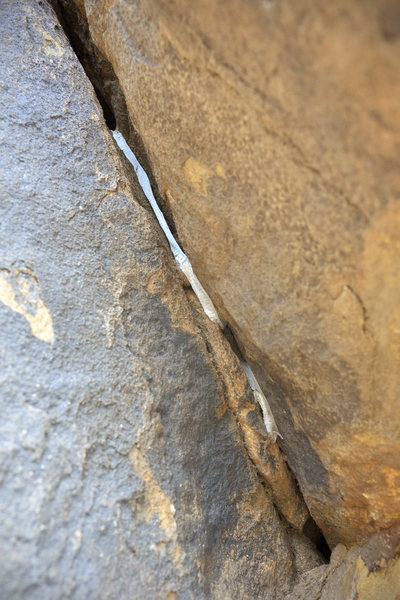 One of the route's must stunning features is found half-way up the layback crack. How a King Snake got to this point on the wall (90 feet above the ground!) boggles the mind.<br>
<br>
Keep this in mind when climbing in the area - the snakes in Rattlesnake Canyon climb 5.7.