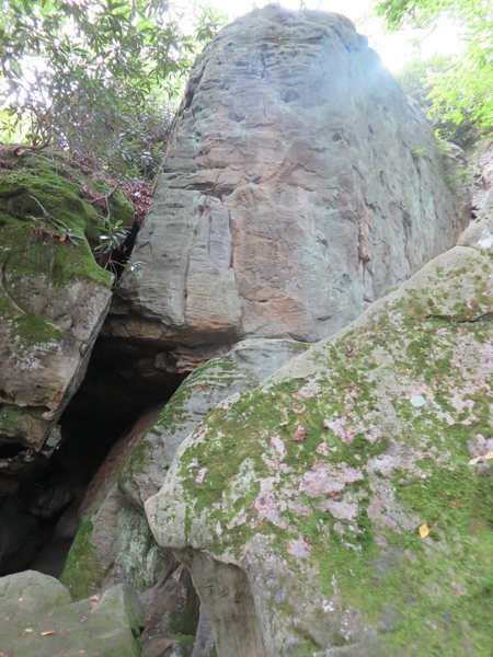 actually a decent little passage/cave between some big rocks, might be possible to come out from inside it? <br>
<br>
could be a fun project.