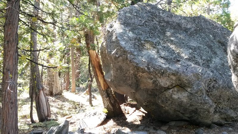 Smaller boulder adjacent to the Stress Management Boulder. Has a couple problems on it worth checking out. Watch out for the loose block at the start of the right problem.