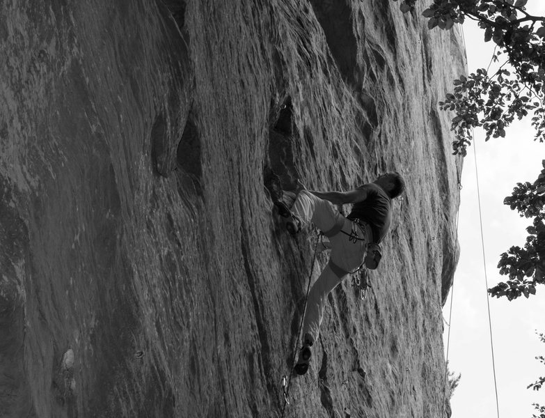 Scott on Aerete Paulette.