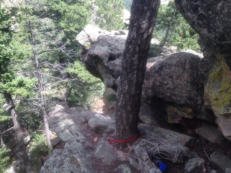 The rap tree to the alternate down climb (see comment). Down-climb past this easily.