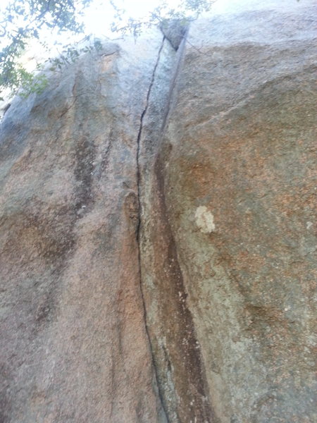 Owl Crack