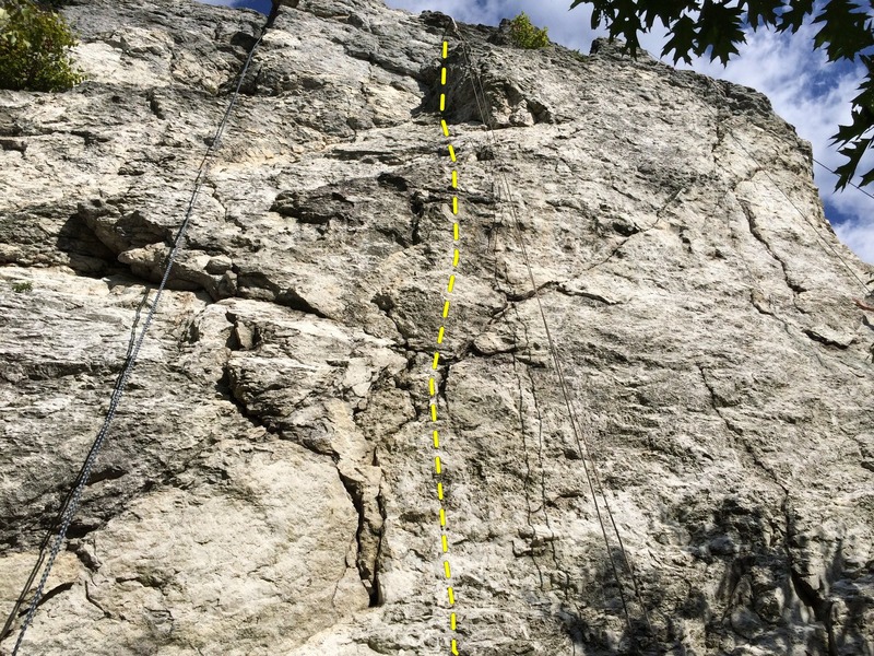 most of the main face