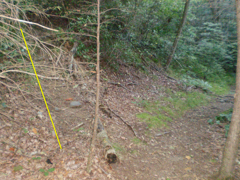 After the steep section of trail after the creek crossing you turn right on the ridgeline trail. Follow this briefly and make a vague left turn and up the short hill here.