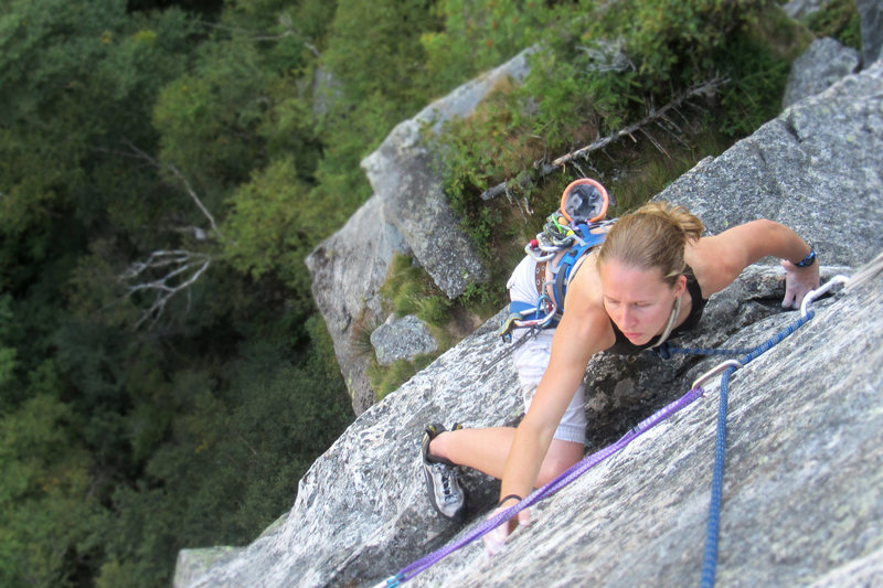 torie on the exposed finish of a variation on the from of the Eaglet