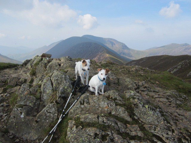 On the Summit of Causey Pike