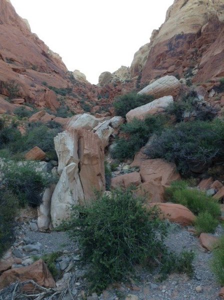 Follow wash until past these rocks, then head left and uphill on the slabs. Slab walking is pretty easy.