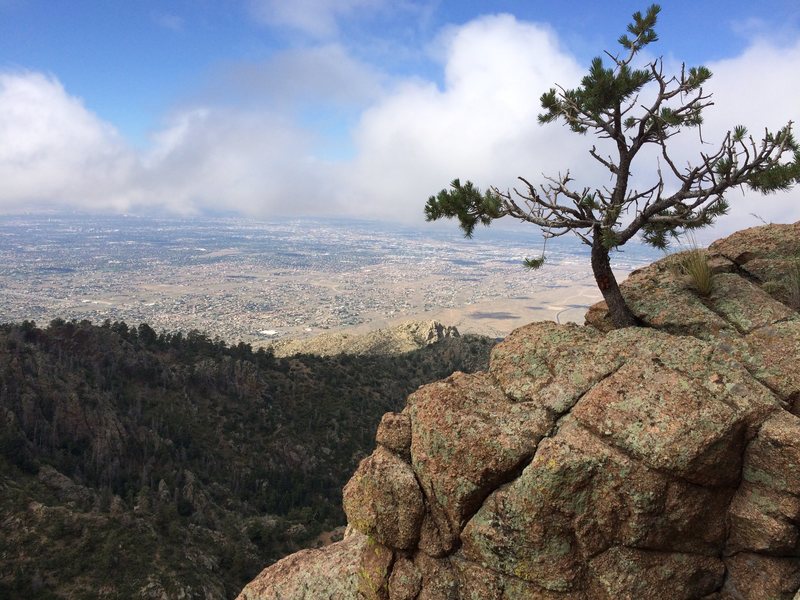 View of Albuquerque from the lower half of the route, about half way up to the notch that is just before the crux pitch. Many rope up here.