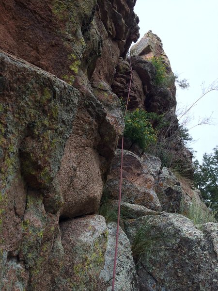 Looking up the crux pitch 3 adorned with flowers. The chimney is just visible near the top of photo.