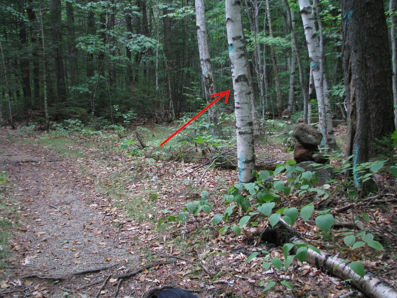 Cairn (2014) where you head in to the woods from the Nanamocomuc Ski trail, following a faint track to get you to a drainage which leads directly to Crack In Woods