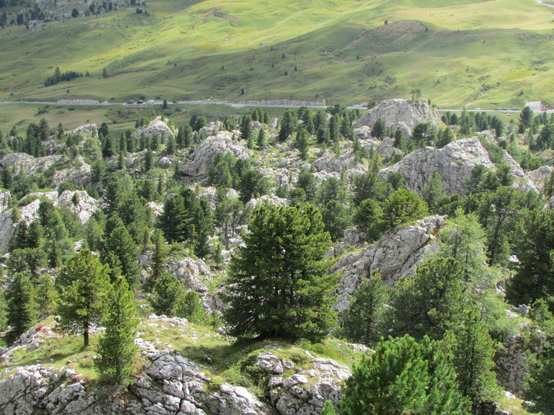 An overall view from the track above the Sassolungo Gondolabahn.