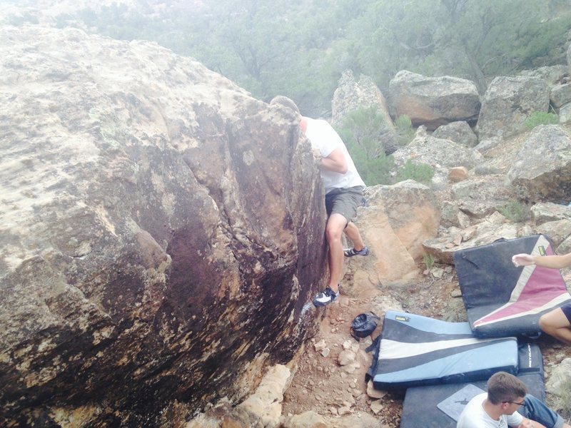 Sean topping out Hoopidigallo.