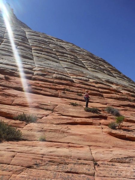 Follow the long crack!