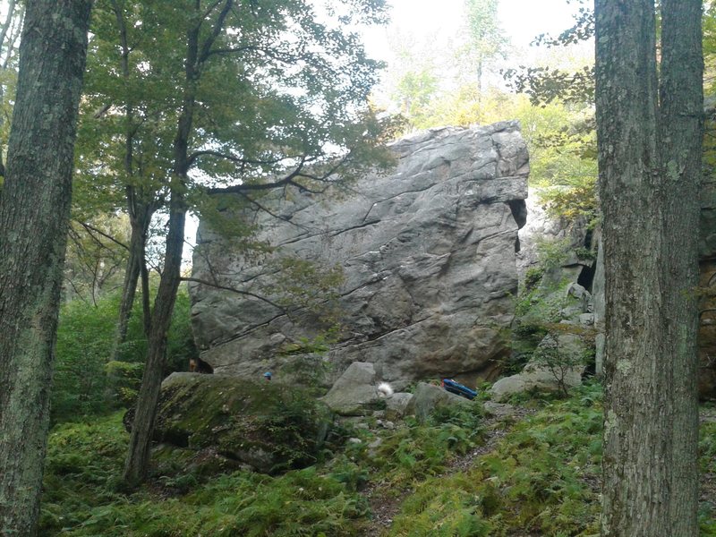 The Main Attraction boulders South Face. <br>
<br>
Levitation on the far right, just right of middle is Darwin's Dilemma.