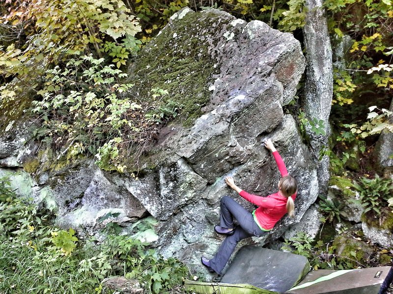 Susan working the rail