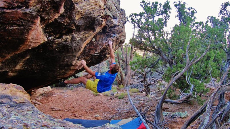 Sticking the first move to the pocket on Fire Is Always Hungry.
