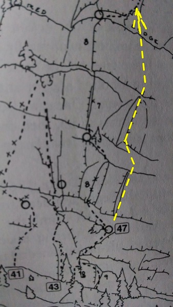This topo is taken from p. 267 of Rossiter's 2000 Eldo guidebook. The Dalke/Ament variation to pitch two climbs the right-facing dihedral above the number 47. Our variation to the third pitch follows the higher right-facing dihedral and continues up to the big red ledge, near the base of the huge, left-facing dihedral of pitch four.