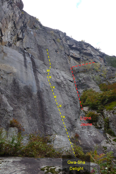 Gwa-Sha Delight<br>
La ligne jaune